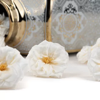 Preserved Wild Rose White (set of 12)