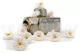 Preserved Wild Rose White (set of 12) 3