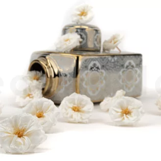 Preserved Wild Rose White (set of 12)