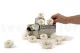 Preserved Wild Rose White (set of 12) 8