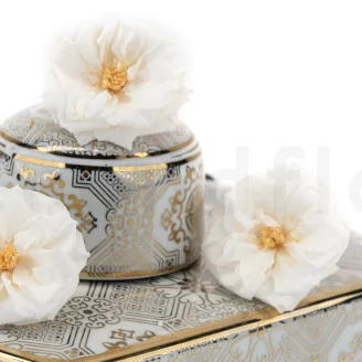 Preserved Wild Rose White (set of 12)