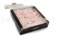 Preserved Wild Rose Pink (set of 12) 4