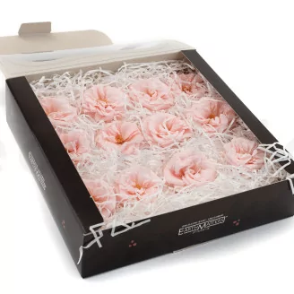 Preserved Wild Rose Pink (set of 12)