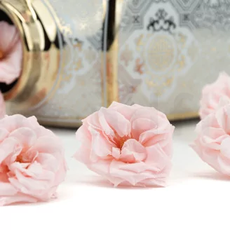 Preserved Wild Rose Pink (set of 12)
