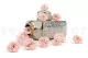 Preserved Wild Rose Pink (set of 12) 3