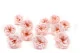Preserved Wild Rose Pink (set of 12) 2