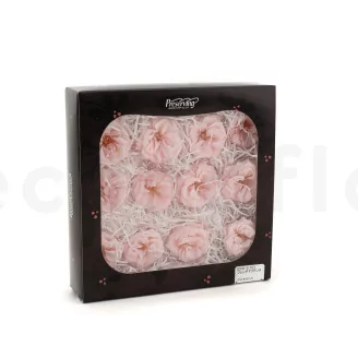 Preserved Wild Rose Pink (set of 12)