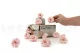Preserved Wild Rose Pink (set of 12) 9