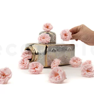 Preserved Wild Rose Pink (set of 12)