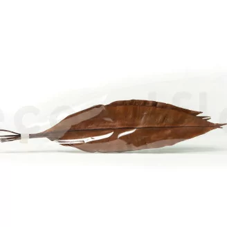 Preserved Tropical Leaf Brown (set of 8)