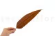 Preserved Tropical Leaf Brown (set of 8) 5