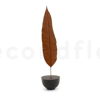 Preserved Tropical Leaf Brown (set of 8)