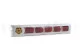 Preserved Rose XL Red (set of 6) 9