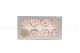 Preserved Rose L Pink Blush (set of 8) 10