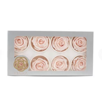 Preserved Rose L Pink Blush (set of 8)