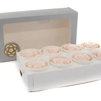 Preserved Rose L Pink Blush (set of 8)