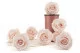 Preserved Rose L Pink Blush (set of 8) 1
