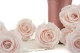 Preserved Rose L Pink Blush (set of 8) 9