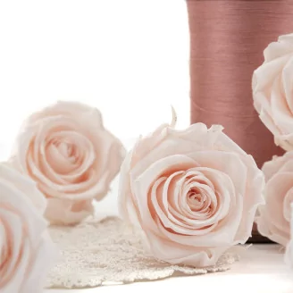 Preserved Rose L Pink Blush (set of 8)