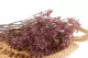 Preserved Baby's Breath Gypsophila Dusty Rose 8