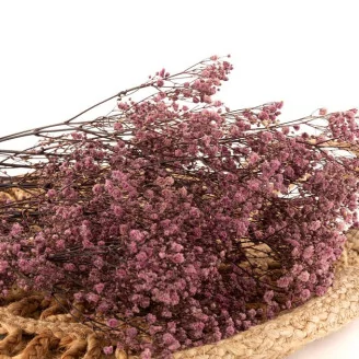 Preserved Baby's Breath Gypsophila Dusty Rose