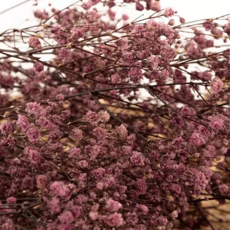 Preserved Baby's Breath Gypsophila Dusty Rose