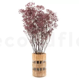 Preserved Baby's Breath Gypsophila Dusty Rose