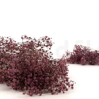 Preserved Baby's Breath Gypsophila Dusty Rose
