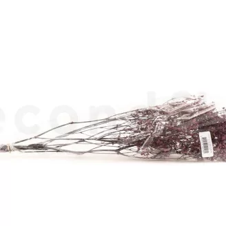 Preserved Baby's Breath Gypsophila Dusty Rose