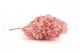 Preserved Peegee Hydrangea Cloud Pink 4