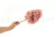 Preserved Peegee Hydrangea Cloud Pink 3