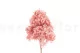 Preserved Peegee Hydrangea Cloud Pink 9