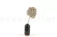 Preserved Peegee Hydrangea Oregano Purple 7
