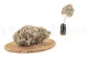 Preserved Peegee Hydrangea Oregano Purple 10