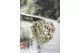 Preserved Peegee Hydrangea Oregano Purple 12