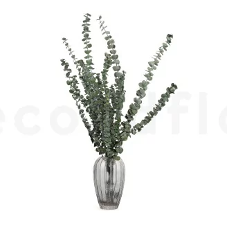 Preserved Eucalyptus Baby-Blue