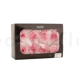 Preserved Carnation Pink & Light Pink (set of 8)