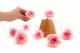 Preserved Carnation Pink & Light Pink (set of 8) 4
