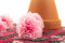 A Box Of Eight Preserved Pink and Light Pink Carnations