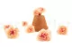 Preserved Carnation Peach & Pink (set of 8) 5