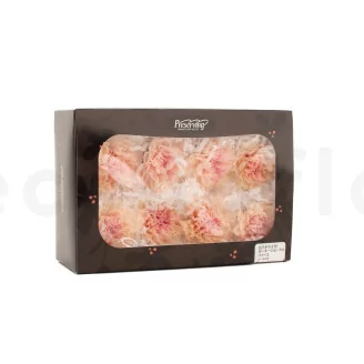 Preserved Carnation Peach & Pink (set of 8)