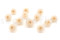 A Box Containing Twelve White Champagne Long-Lasting Dahlia