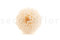 A Box Containing Twelve White Champagne Long-Lasting Dahlia