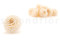 A Box Containing Twelve White Champagne Long-Lasting Dahlia