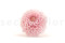 A Box Containing Twelve Sherbet Pink Long-Lasting Dahlia