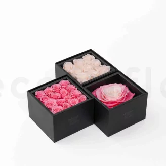 Box of 16 Preserved roses Pink