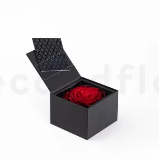 Preserved XXL rose in a box Red