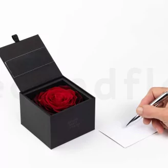 Preserved XXL rose in a box Red