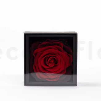 Preserved XXL rose in a box Red