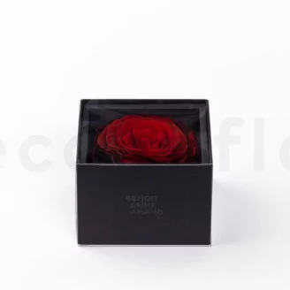 Preserved XXL rose in a box Red